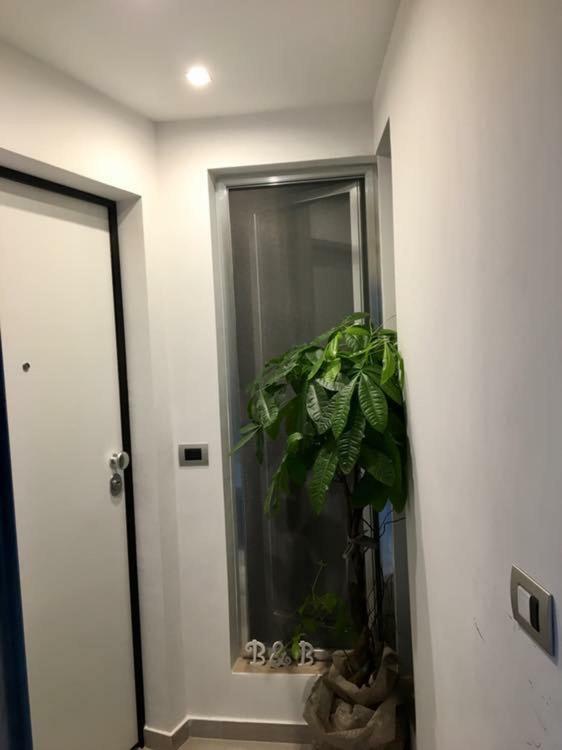 B&B Casa Amalia バルレッタ エクステリア 写真